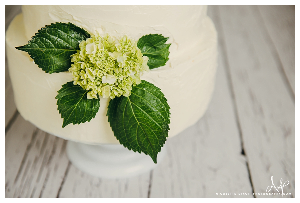 Lincoln Nebraska Wedding Cakes